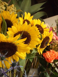b0137486_1737576.jpg