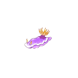 f0161488_15454562.gif