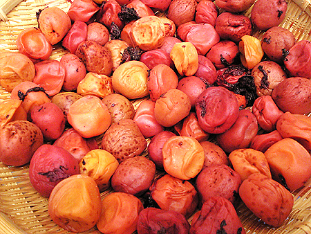 d0020789_732095.jpg