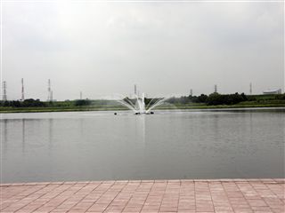 e0121589_1630669.jpg