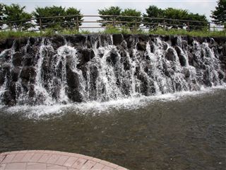 e0121589_1641417.jpg
