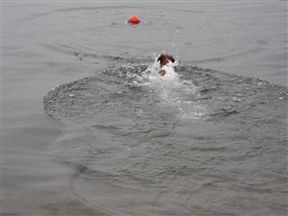 e0121589_16431137.jpg