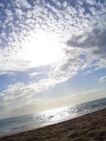 c0159896_21311334.jpg