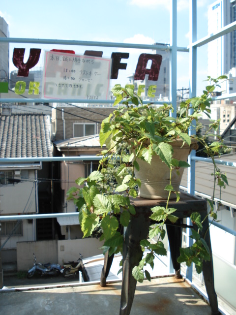 c0163699_6445262.jpg