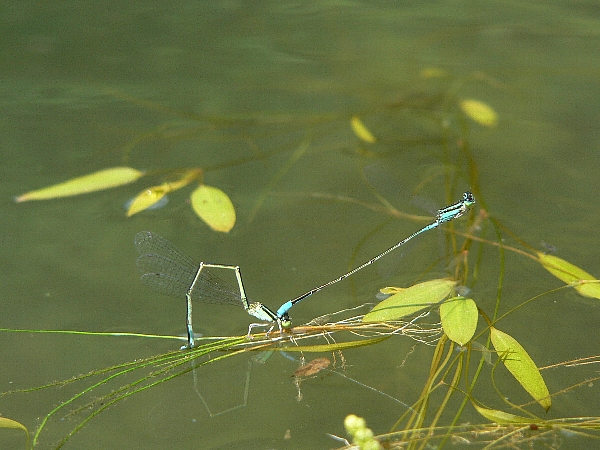 e0002314_20415951.jpg