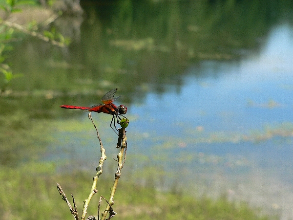 e0002314_20431282.jpg