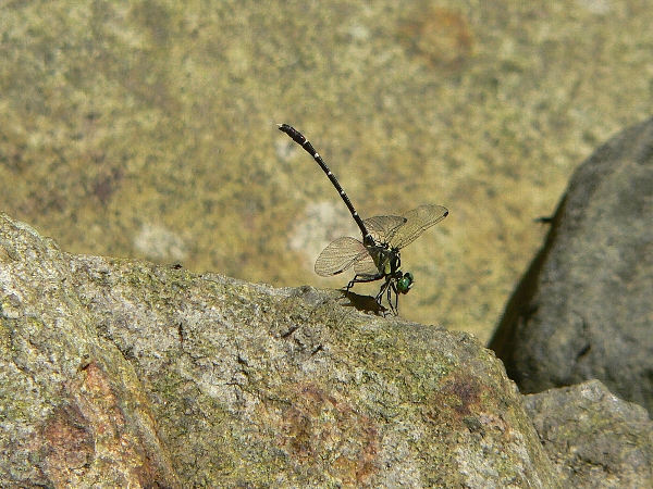 e0002314_2045444.jpg