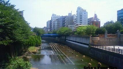 f0167314_19455955.jpg