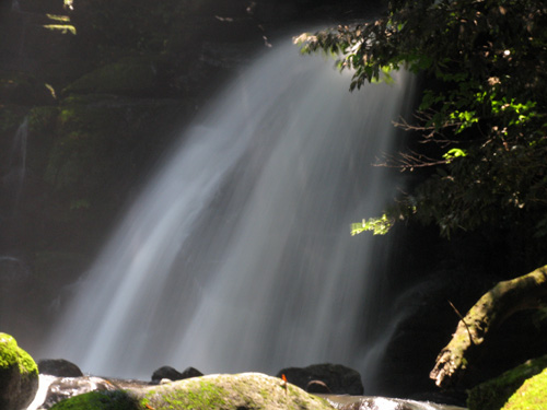 b0037717_1620745.jpg