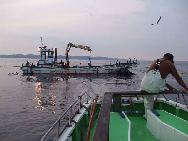 b0096418_15291490.jpg
