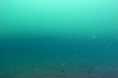 b0044726_1011467.jpg
