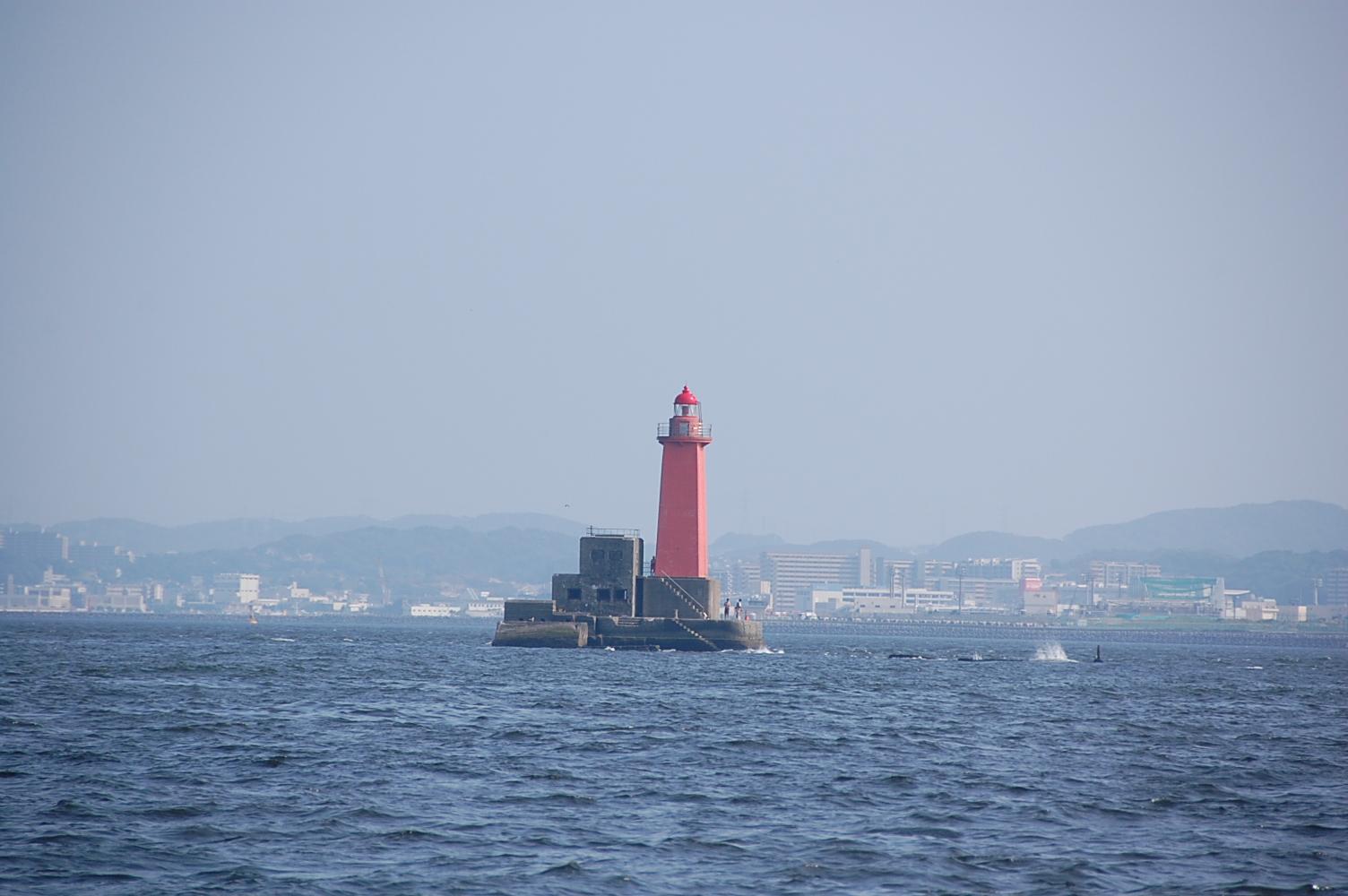 f0095128_23411640.jpg