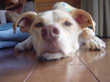 d0129745_20124100.jpg