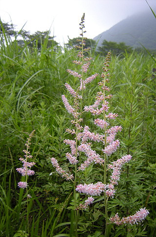 a0001354_22415887.jpg