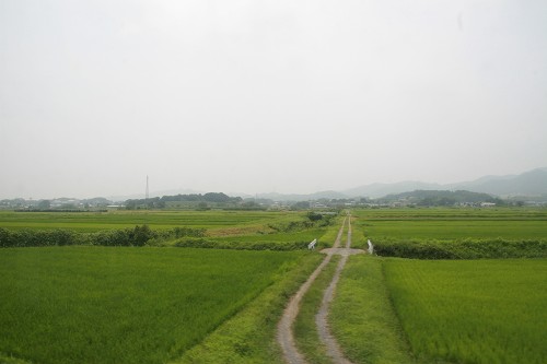 e0002554_19494930.jpg