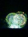 e0115754_23491631.jpg