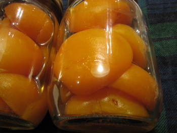 c0153259_029320.jpg
