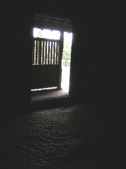 d0045159_14591950.jpg