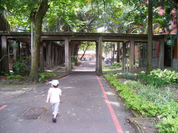 e0047361_3123260.jpg