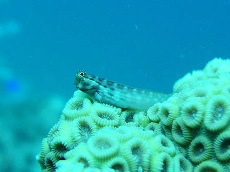 b0062363_2124920.jpg