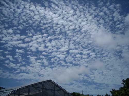 e0097770_16182481.jpg