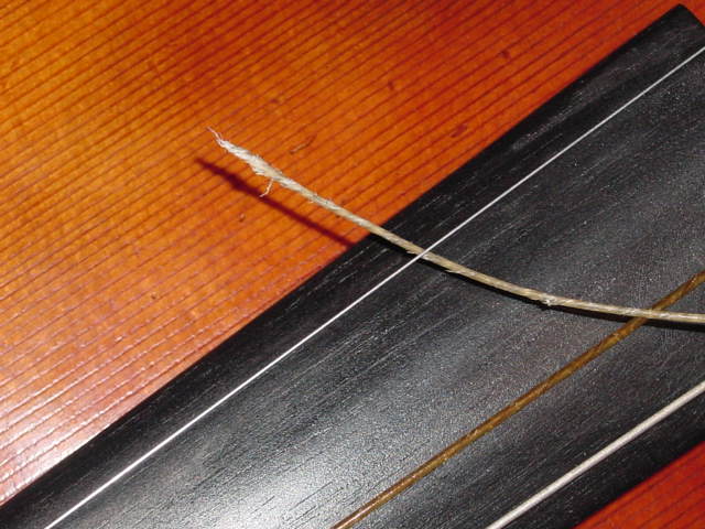 b0046888_23481030.jpg