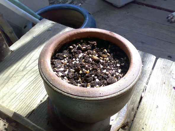 c0123189_319289.jpg