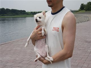 e0121589_11551050.jpg