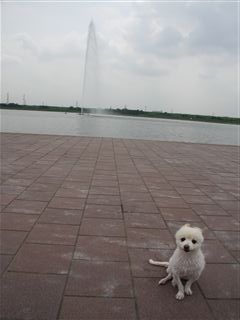 e0121589_1416993.jpg