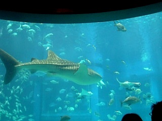 e0111793_18294913.jpg