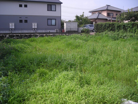 d0000995_164489.jpg