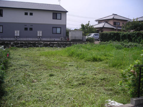 d0000995_1651915.jpg