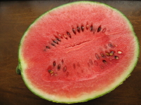 f0178696_10132436.jpg