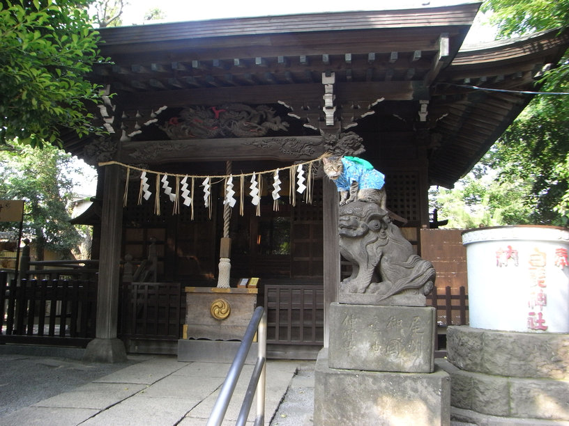e0031605_0124672.jpg