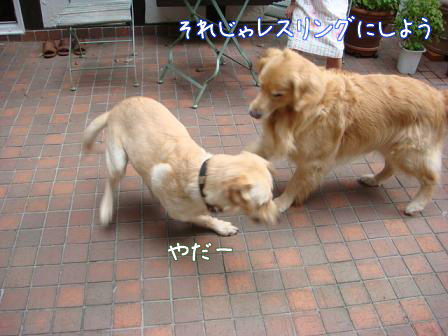 f0064906_18305064.jpg