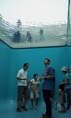 b0036608_15192711.jpg