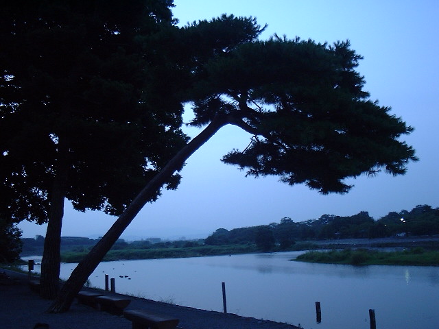 f0173908_6121097.jpg