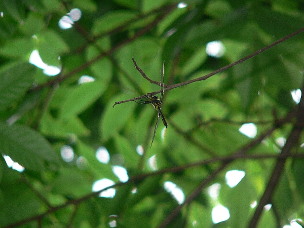 e0002314_1512525.jpg