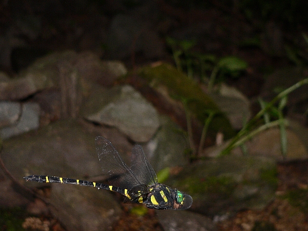 e0002314_15153226.jpg