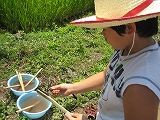 b0026615_950188.jpg
