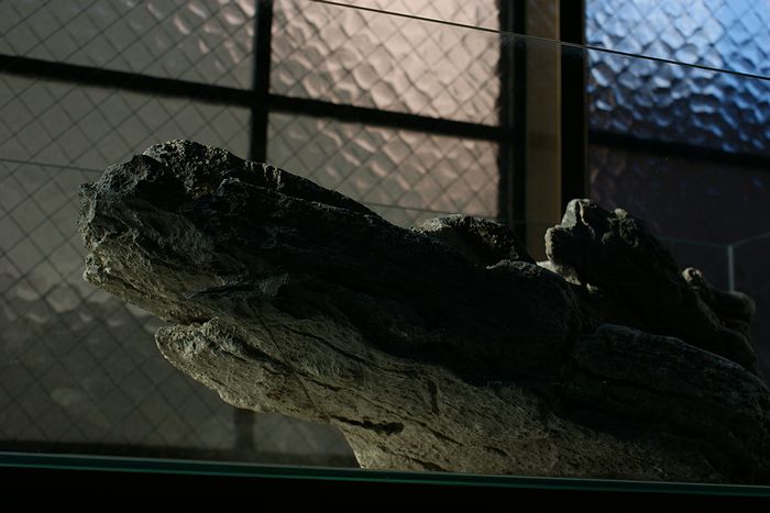c0119618_20465366.jpg