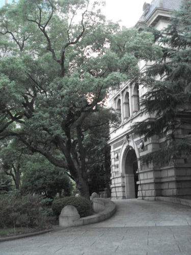 e0110719_13514022.jpg
