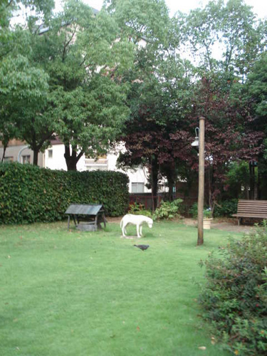 e0110719_13515776.jpg