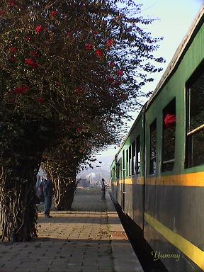 e0055023_1355461.jpg