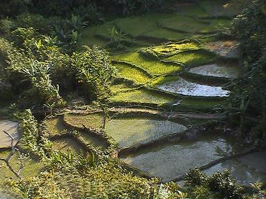 e0055023_215210.jpg