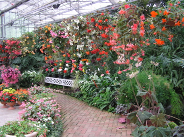 f0128723_2350164.jpg
