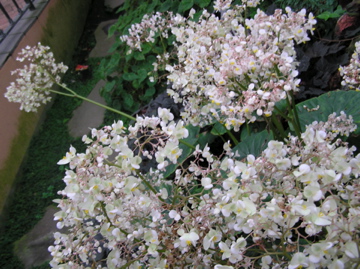 f0128723_23513952.jpg