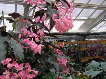 f0128723_2352343.jpg