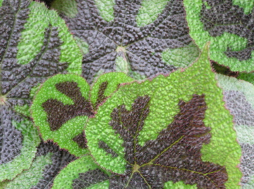 f0128723_23533292.jpg