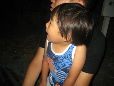e0121228_7433010.jpg